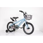 BIC.16 RACCOON BLUE