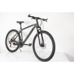 Bicikl 29"/21 MAXIMUS GREY - Slika 2