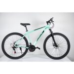 Bicikl 29"/21 MAXIMUS GREEN