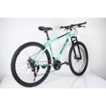 Bicikl 29"/21 MAXIMUS GREEN - Slika 3